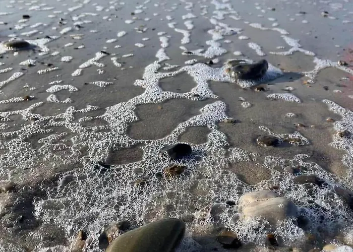 10294-ulfborg-gaffelbjergvej-44 *